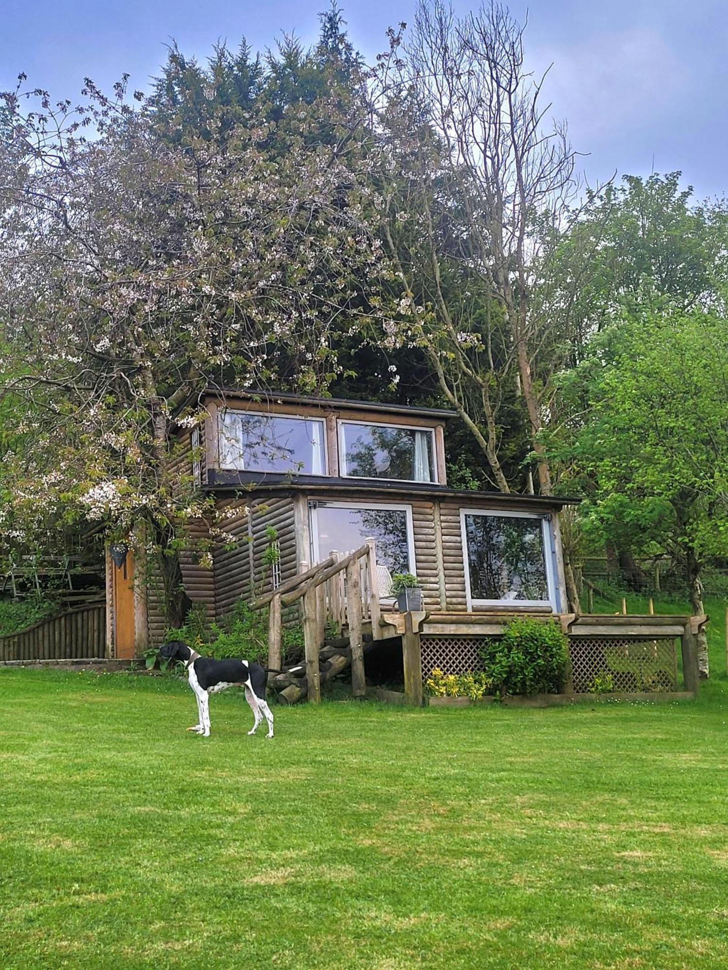The Summerhouse Llandegla المظهر الخارجي الصورة